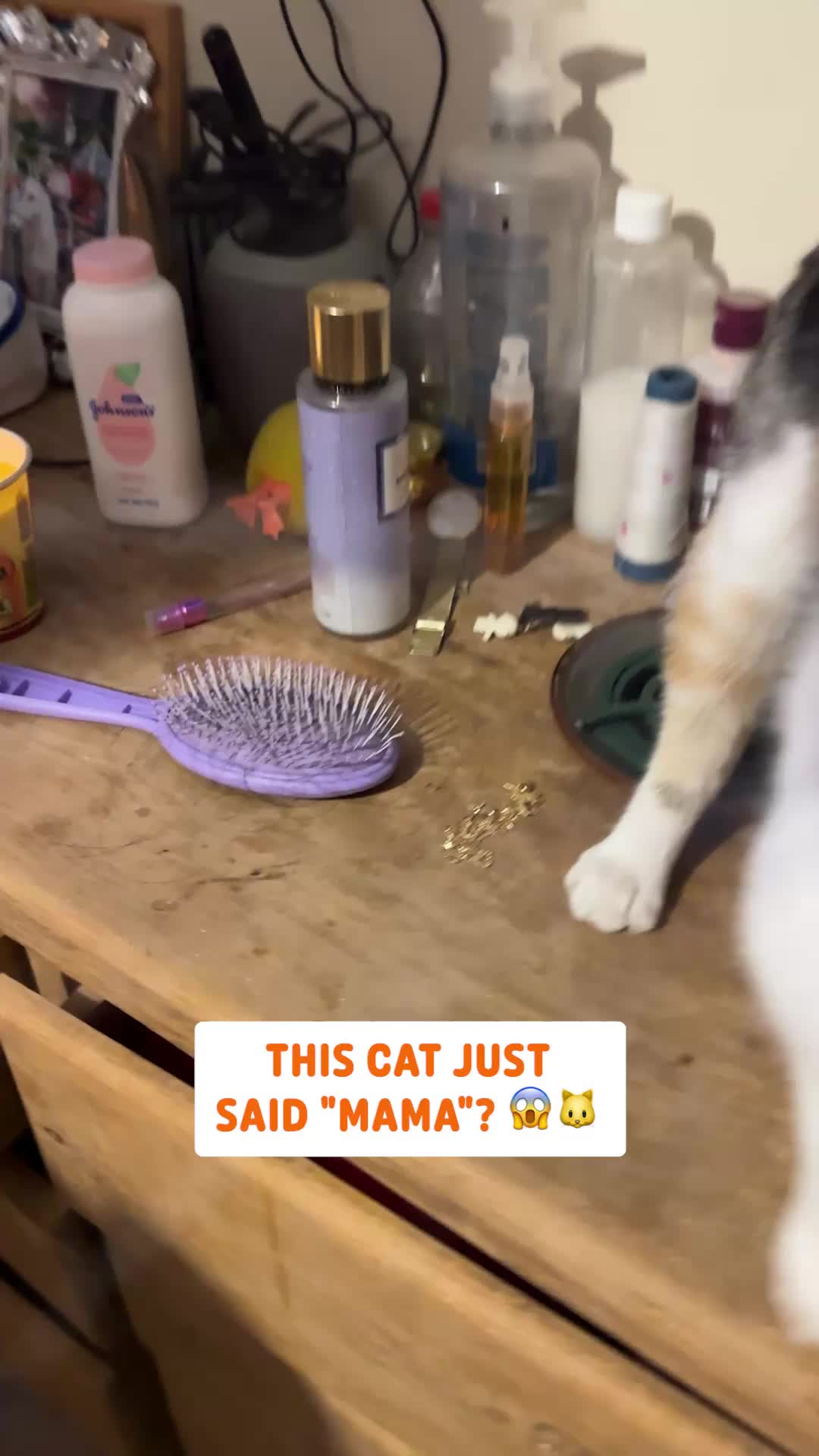 @Pawsome Pets