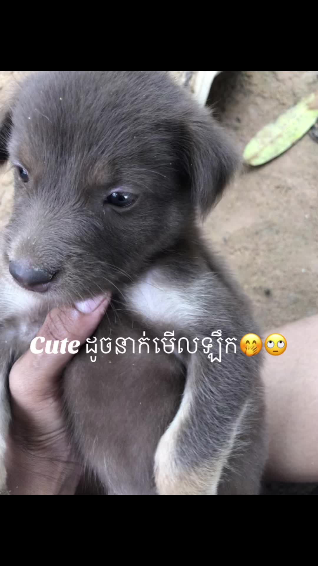 @ជន អត់ល្បី😂🥺