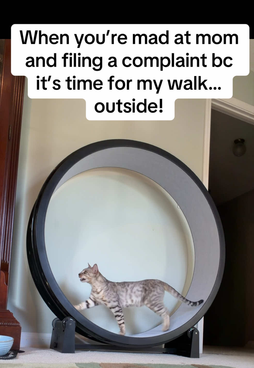 @gus.omatic