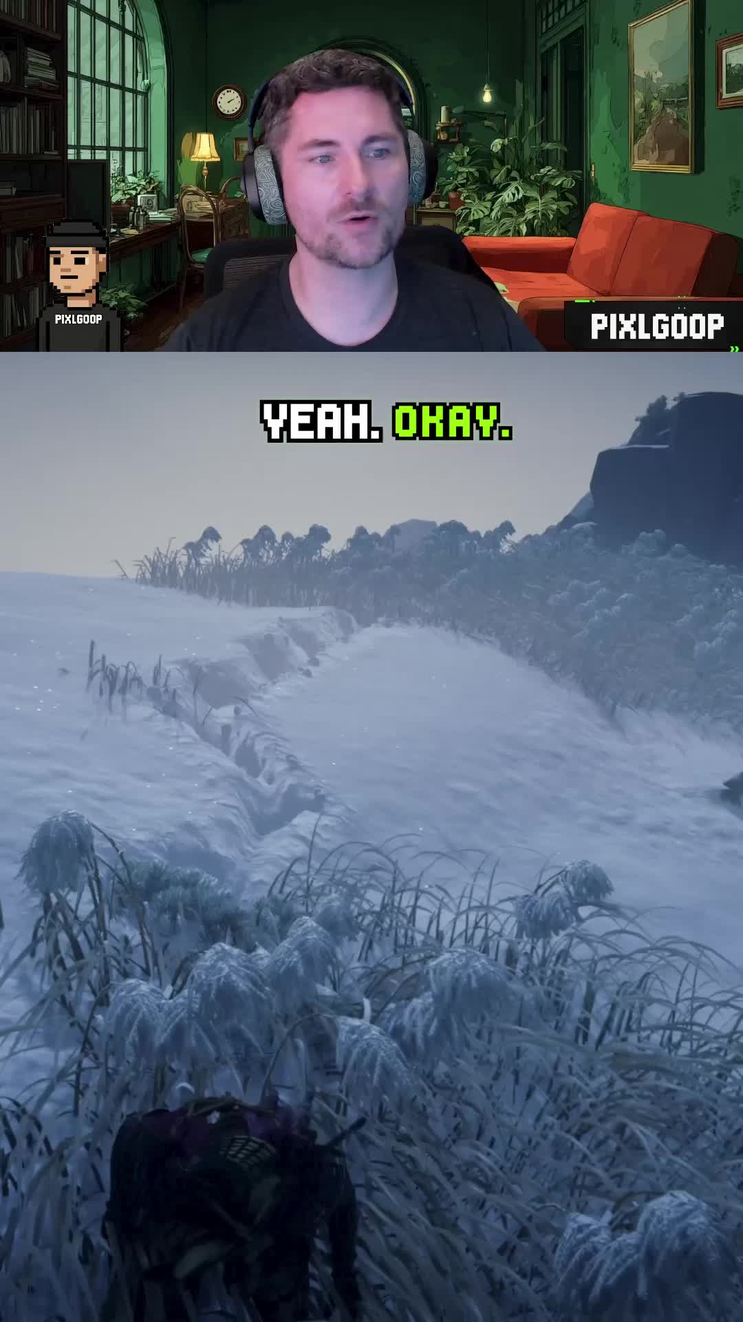 @pixlgoop