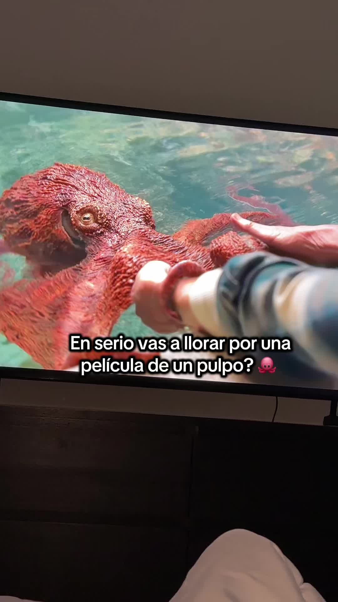 @Crisstiani