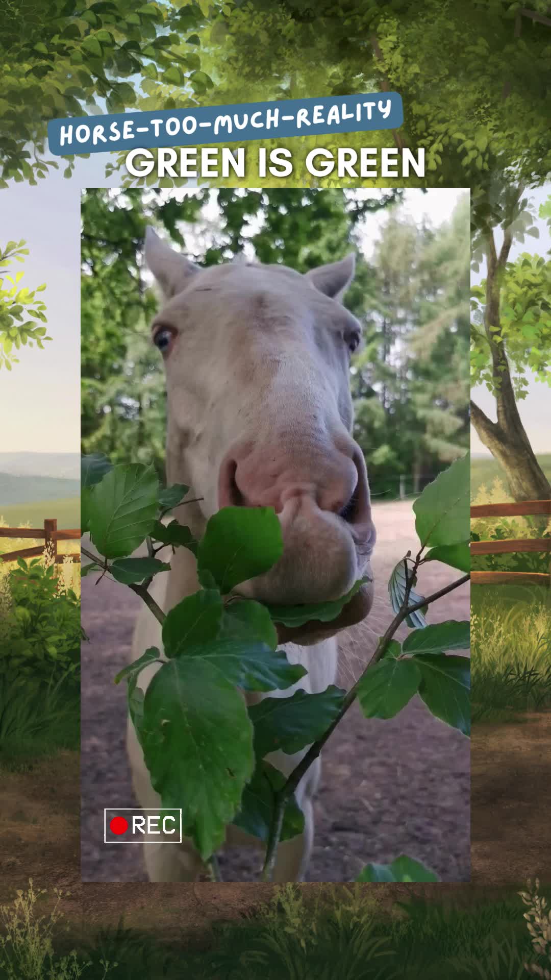 @Horse Reality