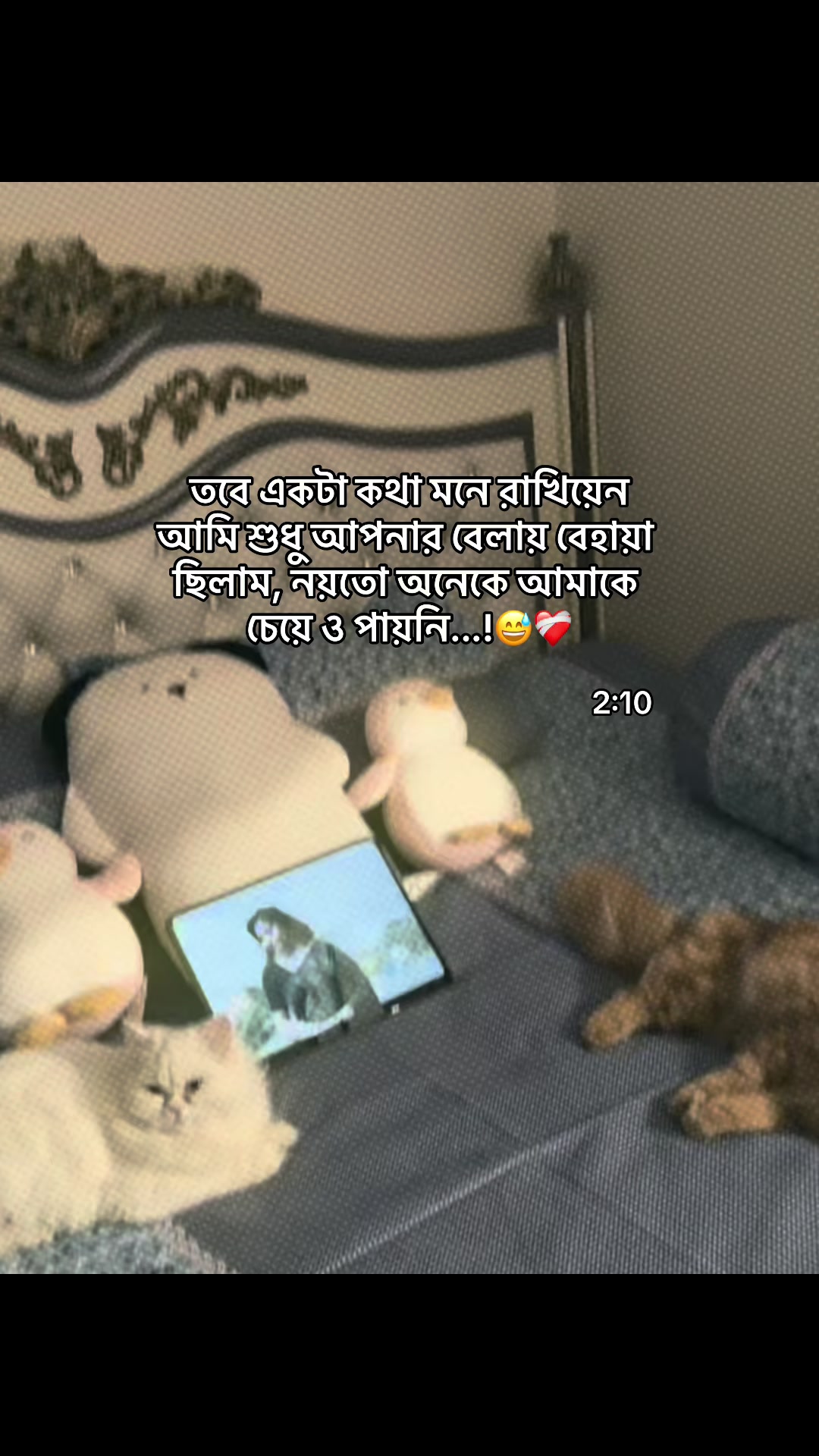 @Safa