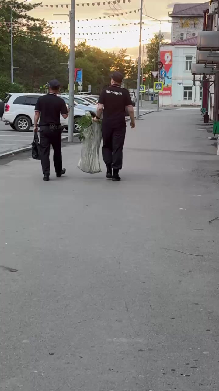 @добрый