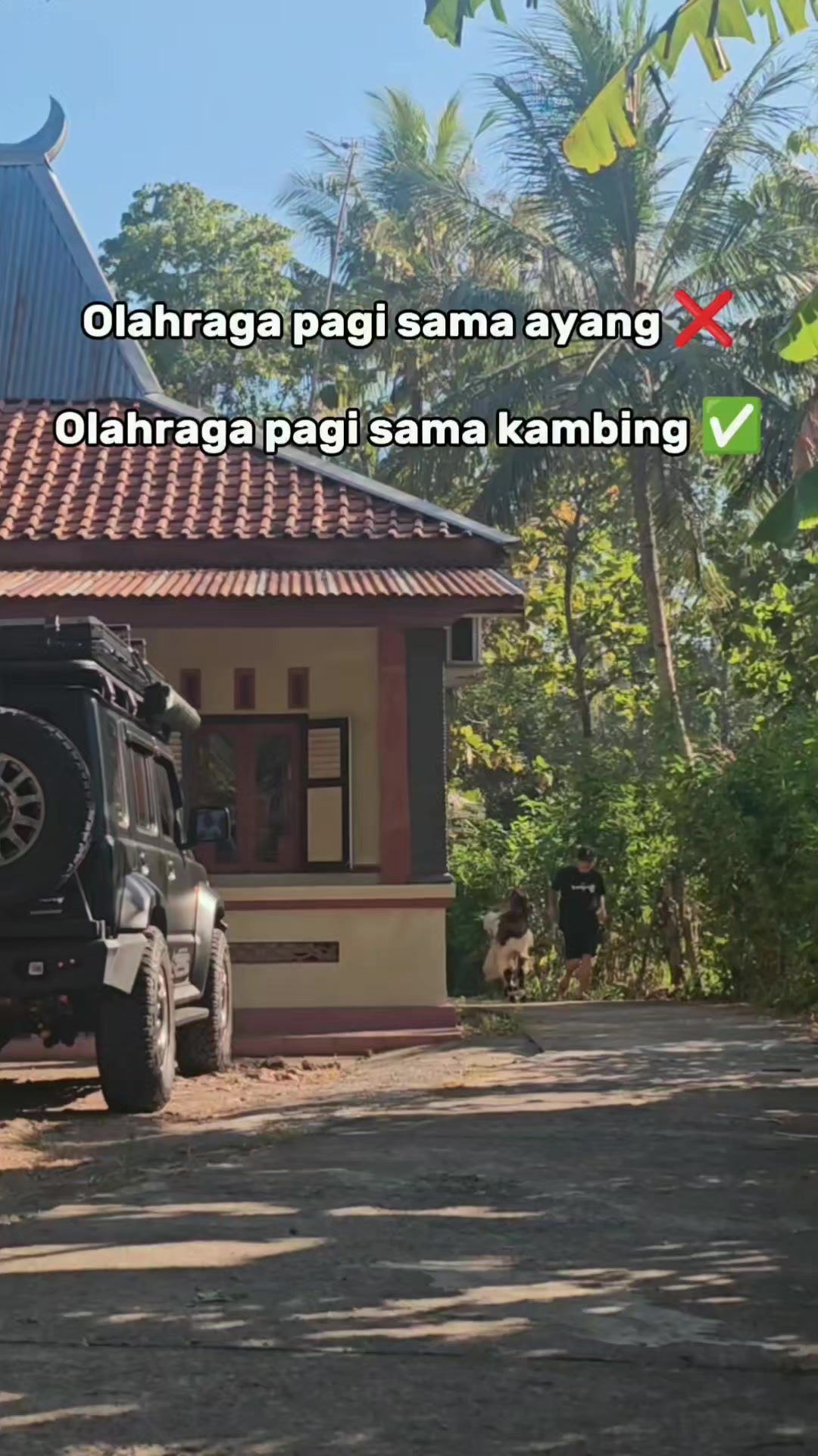 @JEKI