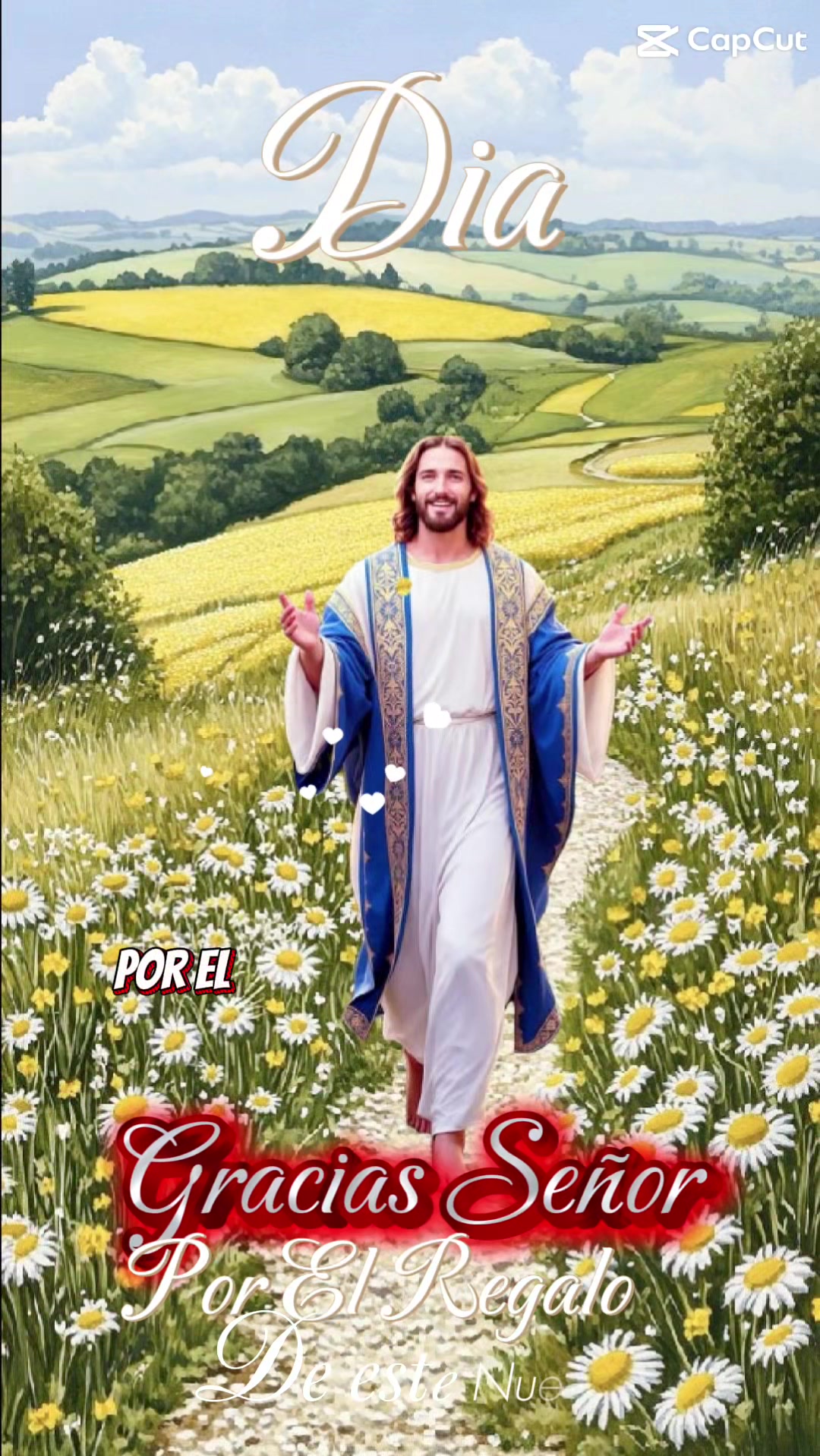 @elrosariodecadadia