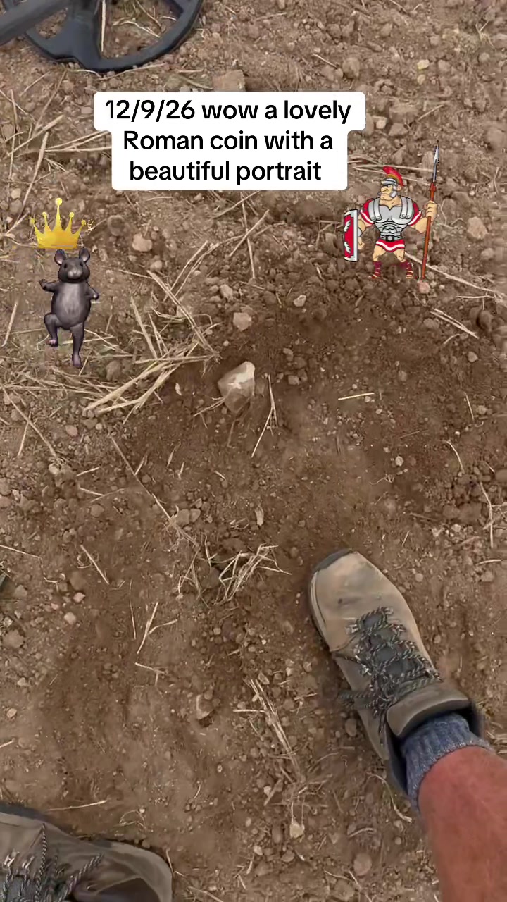 @SirKingRat