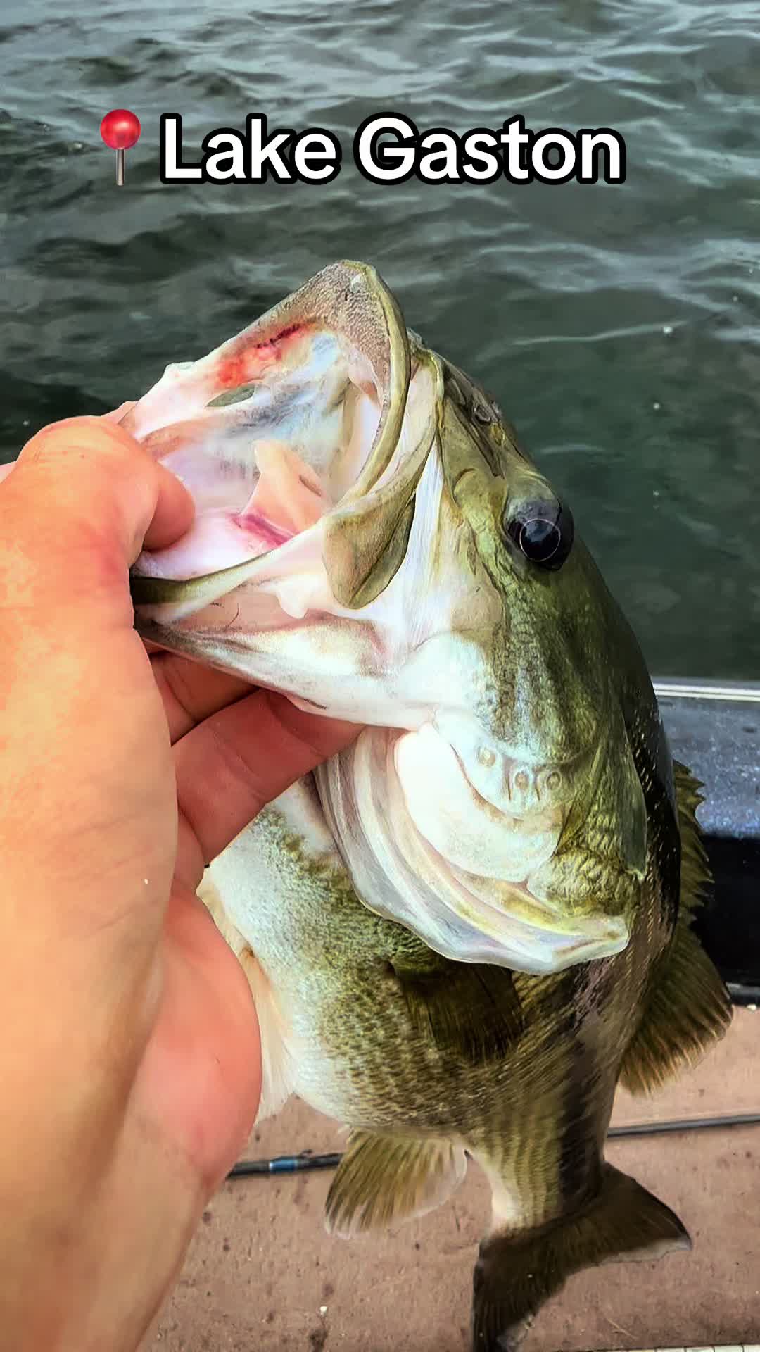 @evan_whitefishing