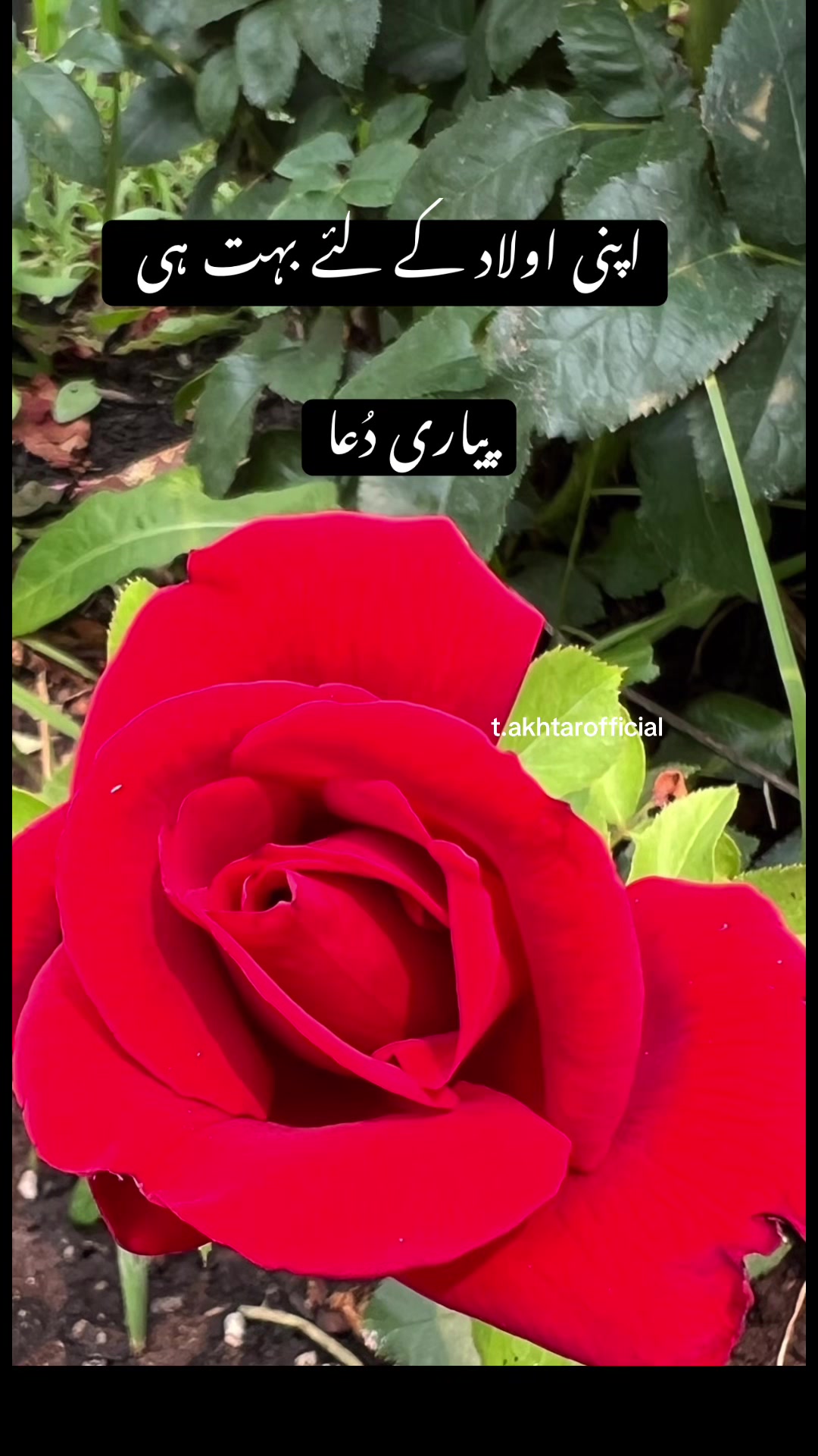 @T.Akhtar Official
