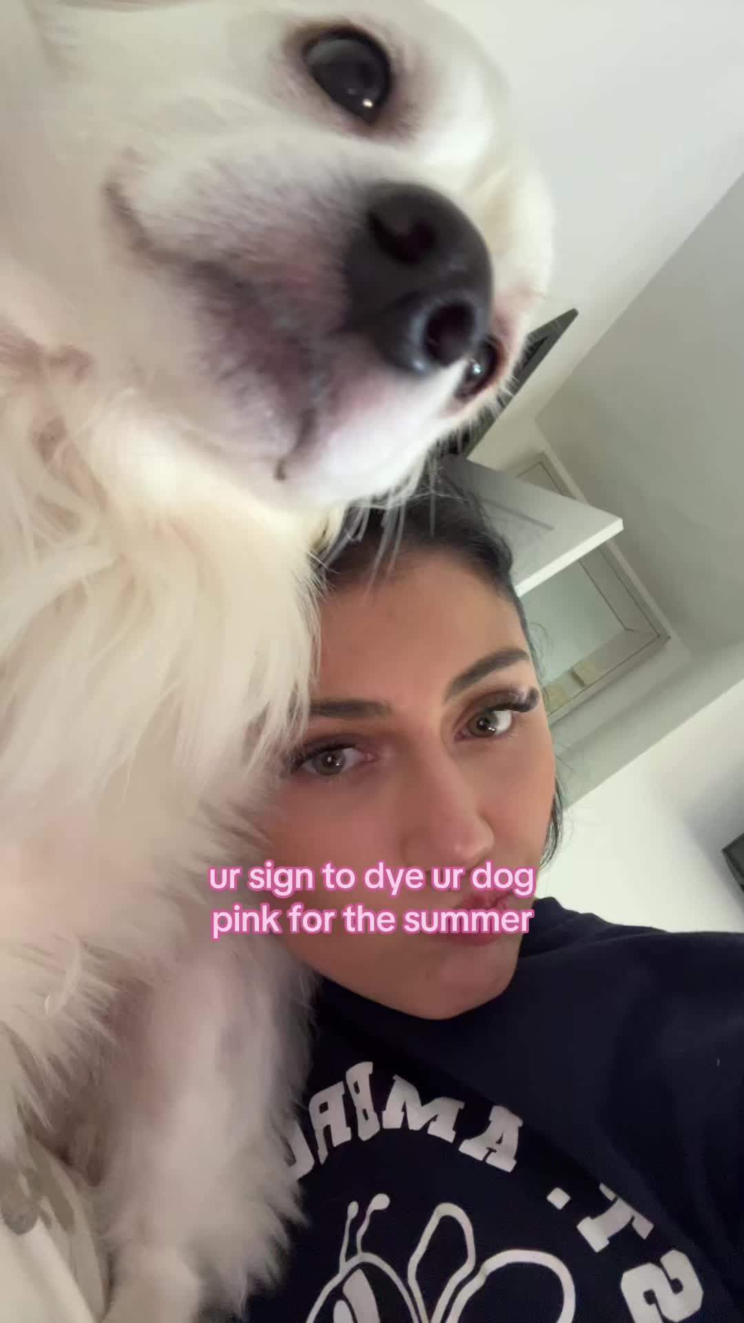 @dev