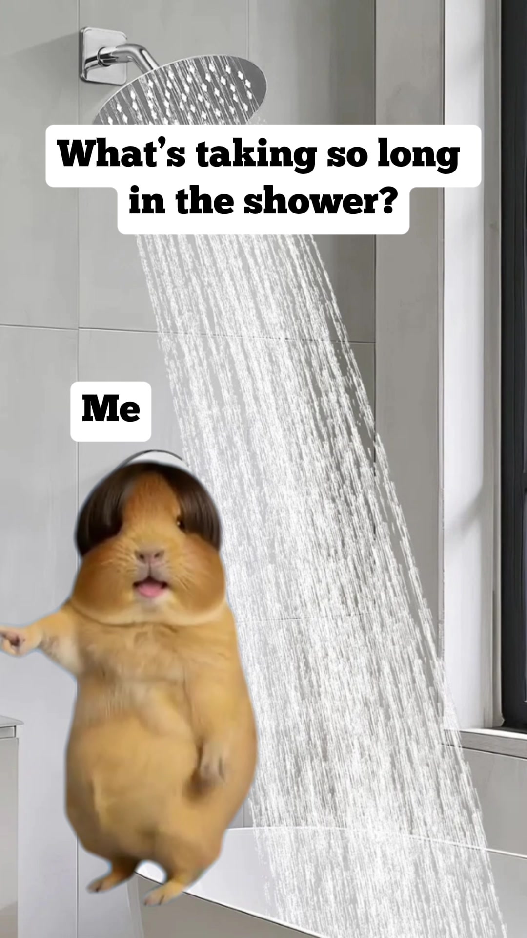 @Amy 🍯