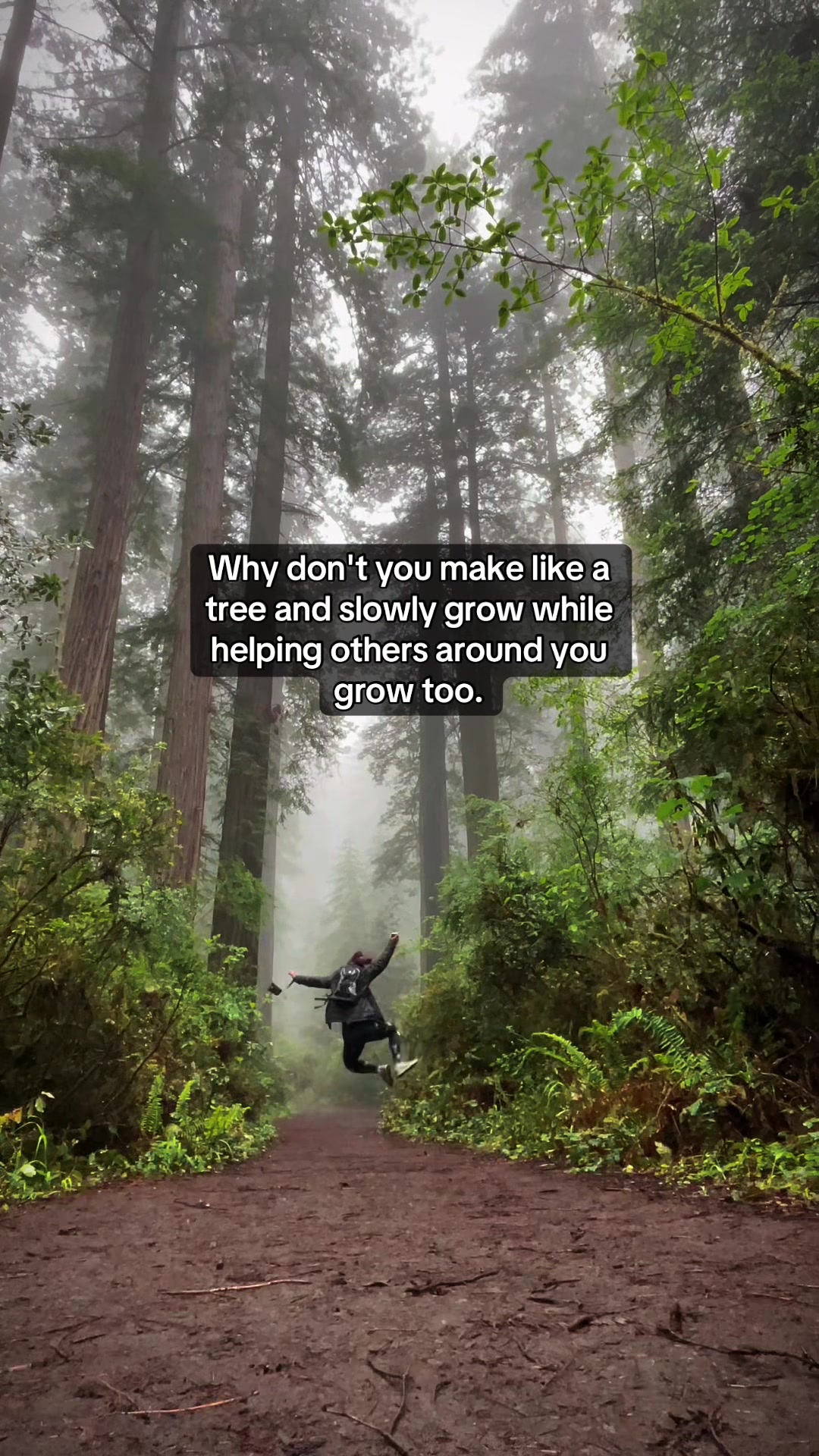 @HolisticHealingThoughts