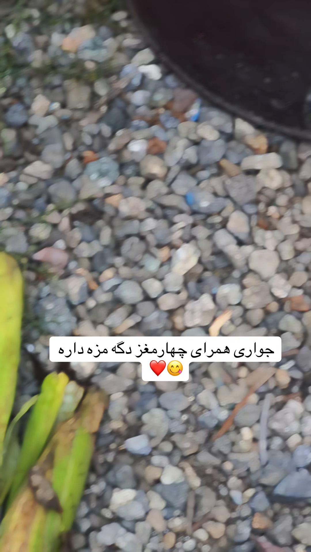 @Negin🌸