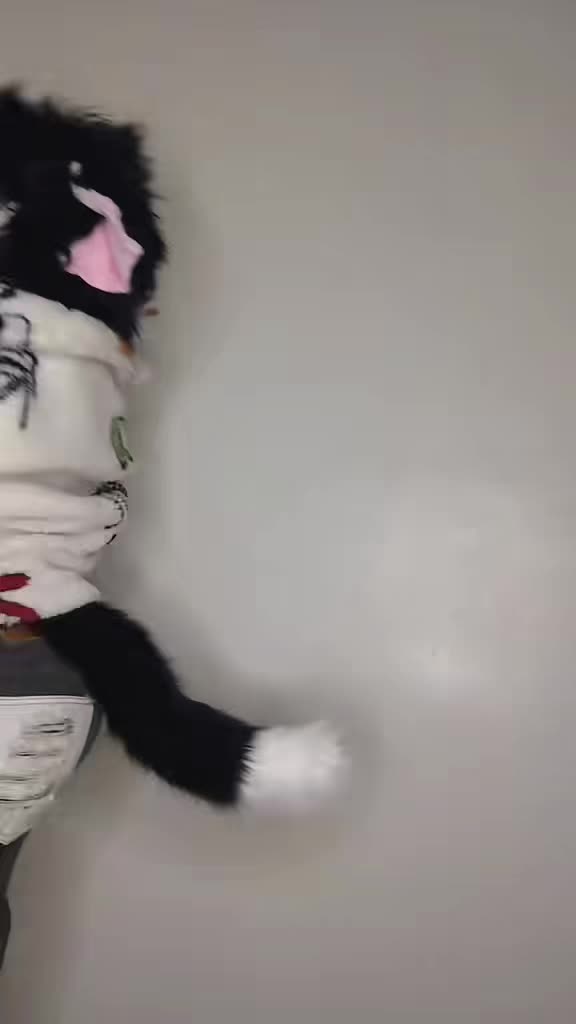@Queer el gato🏳️🌈