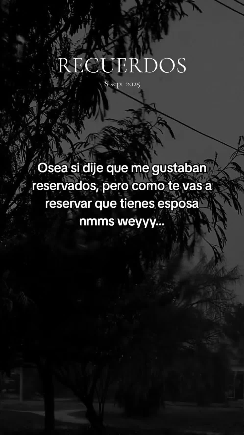 @vecky