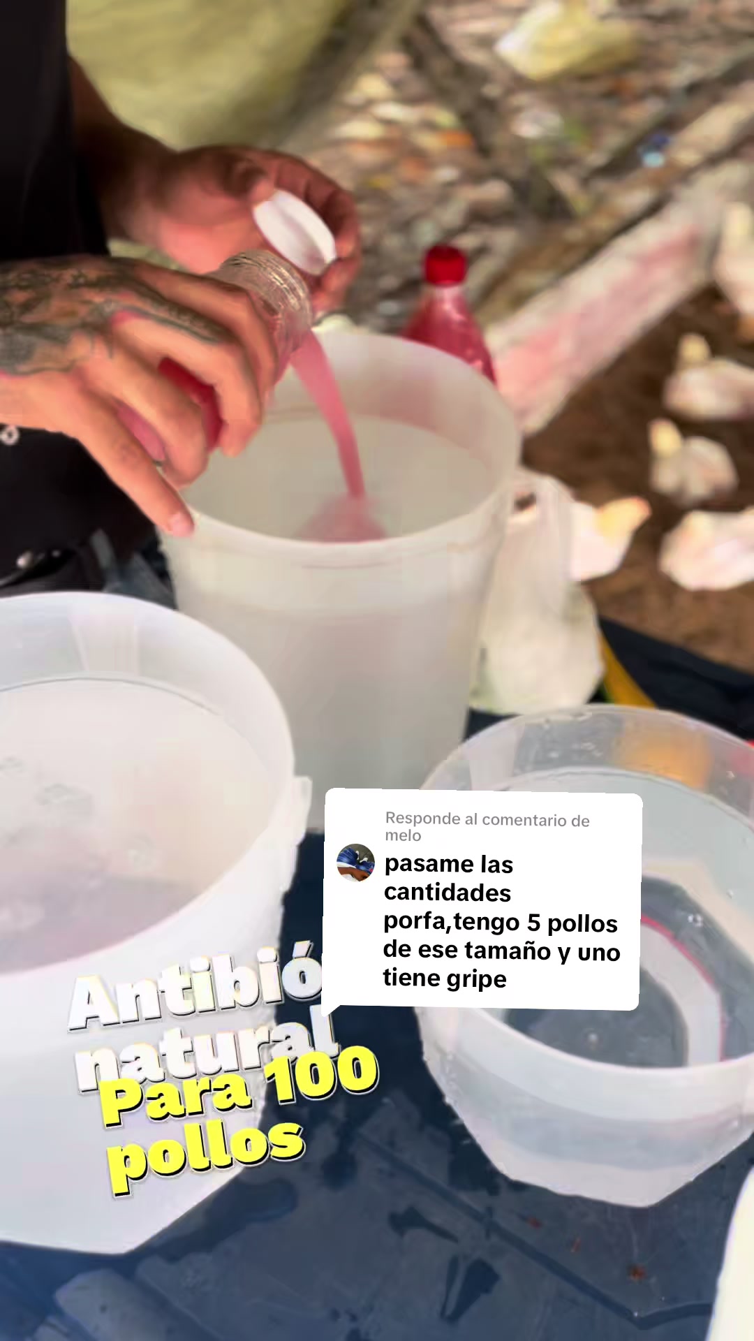 @elmagnatedelospollos