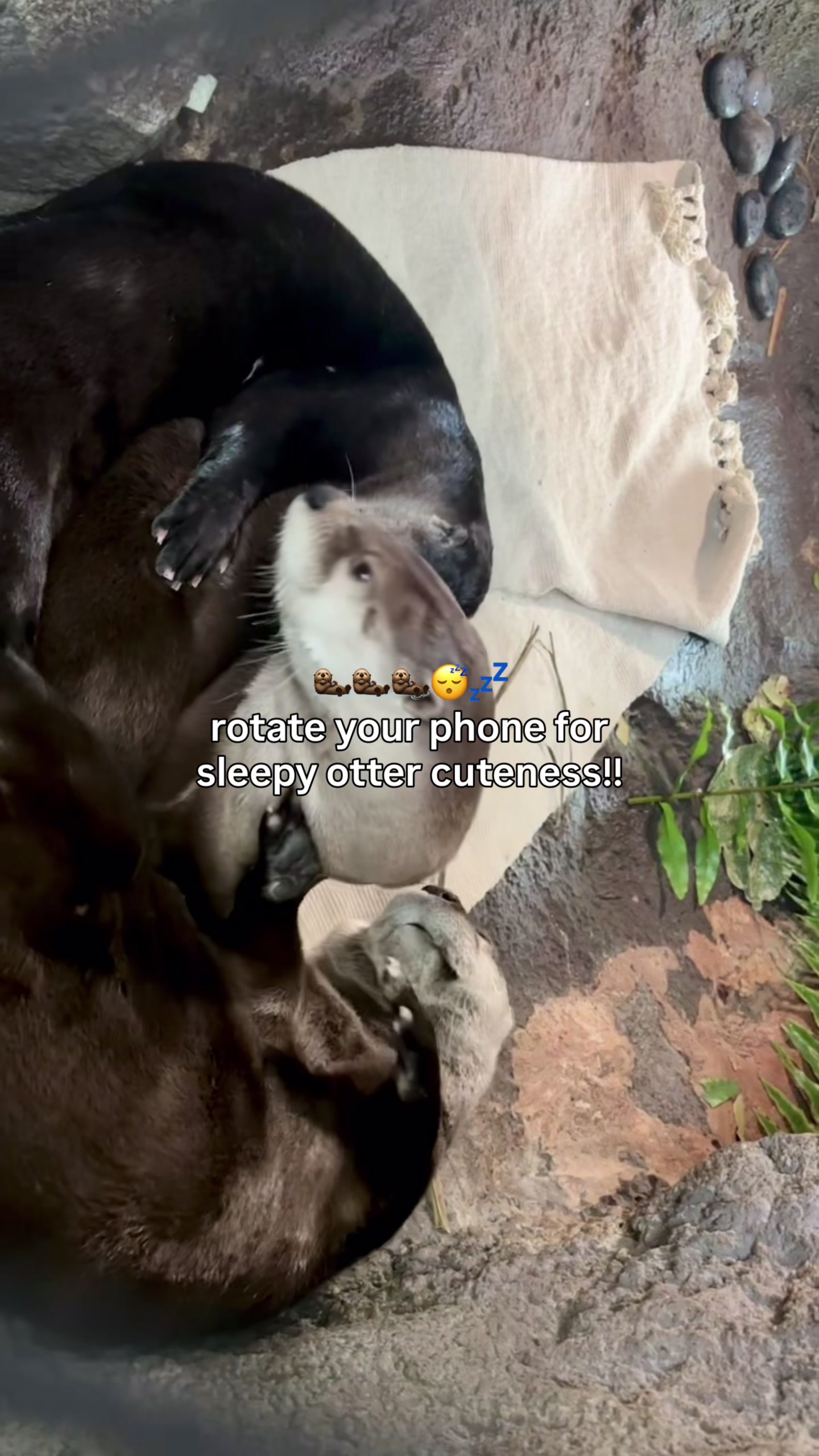 @The Florida Aquarium