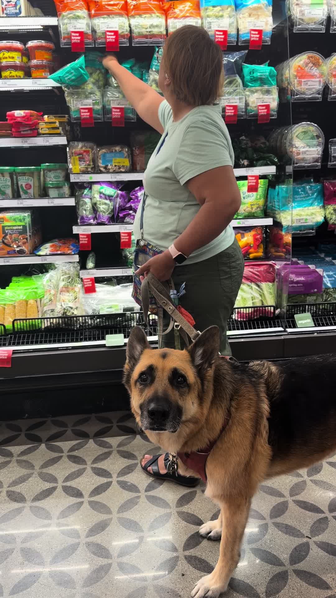 @Dogs aren&rsquo;t Family
