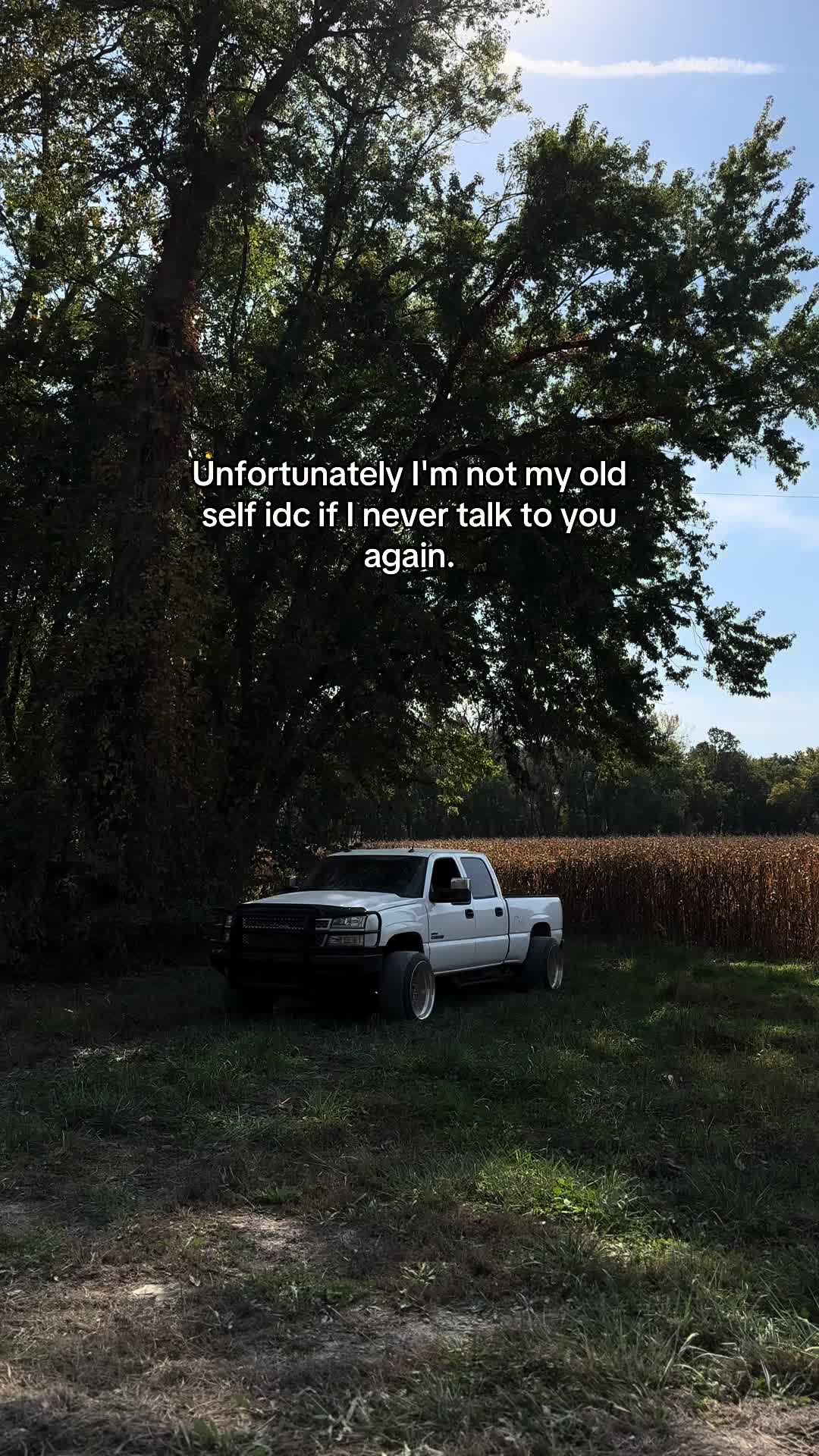 @Carli Venhaus
