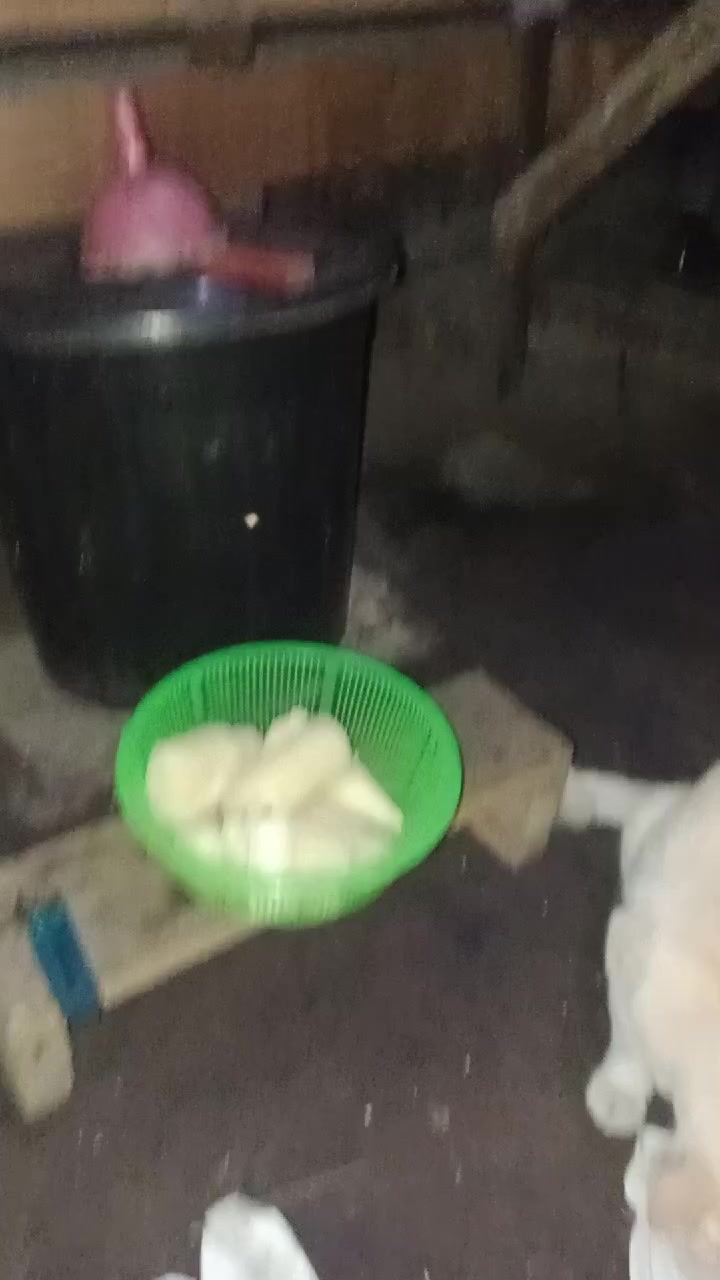@Johan.Nechik.store
