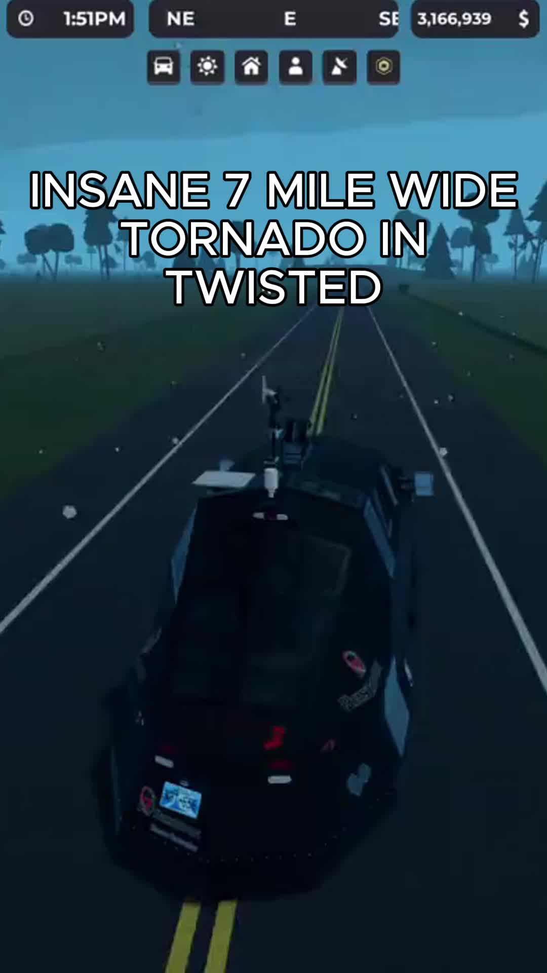 @TEAM STORM SURFER