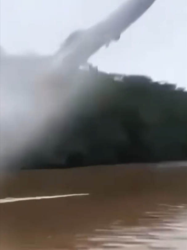 @Mundo dos Animais