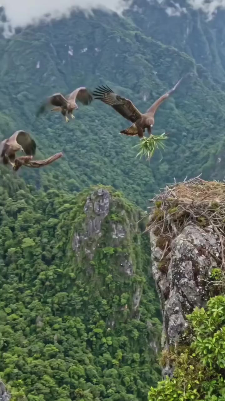 @🌗    ዙዜ~☪🧕🦅