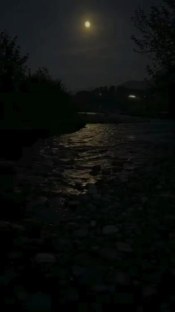 @أميرة الزهراني..موثوق
