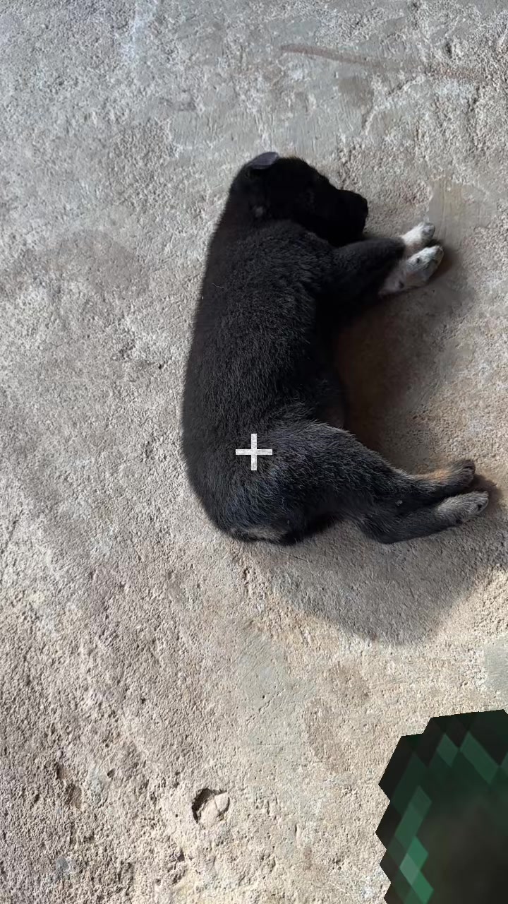 @Pet❤️🔥