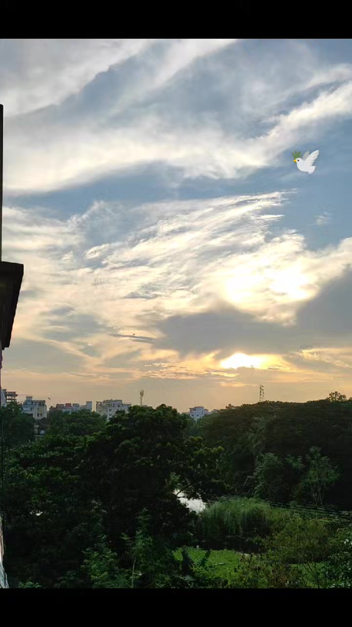 @🕊️