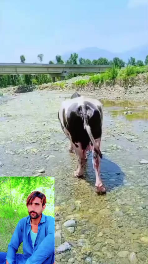 @ASAD Sarkar123