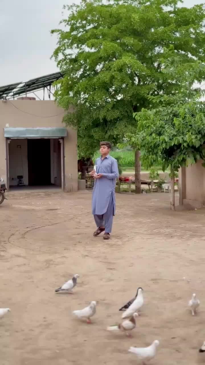 @ZAKIR.ALI.⚡111⚡.