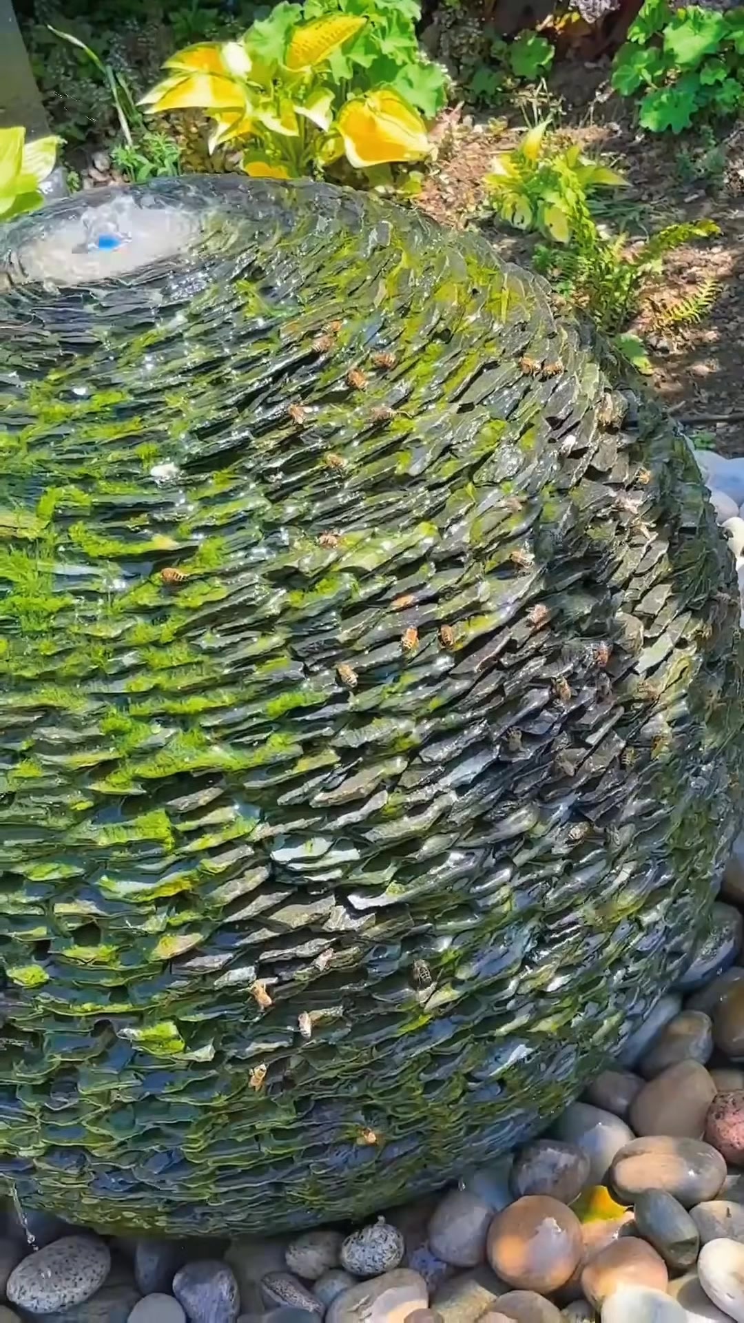 @Kamedibhandar