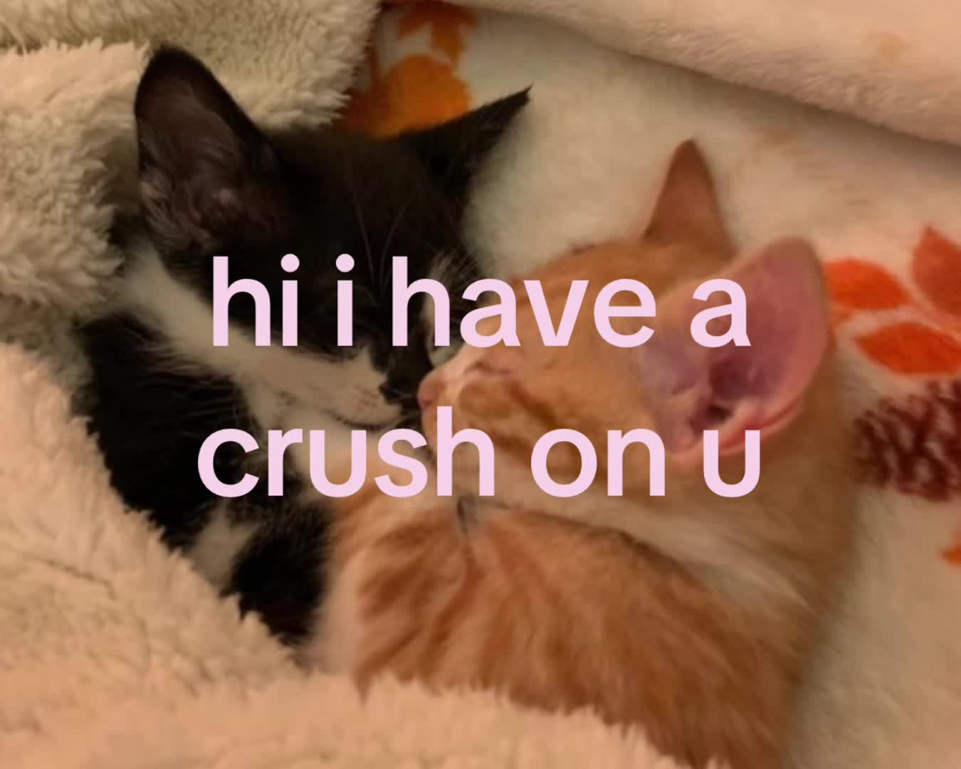 @alittlemore