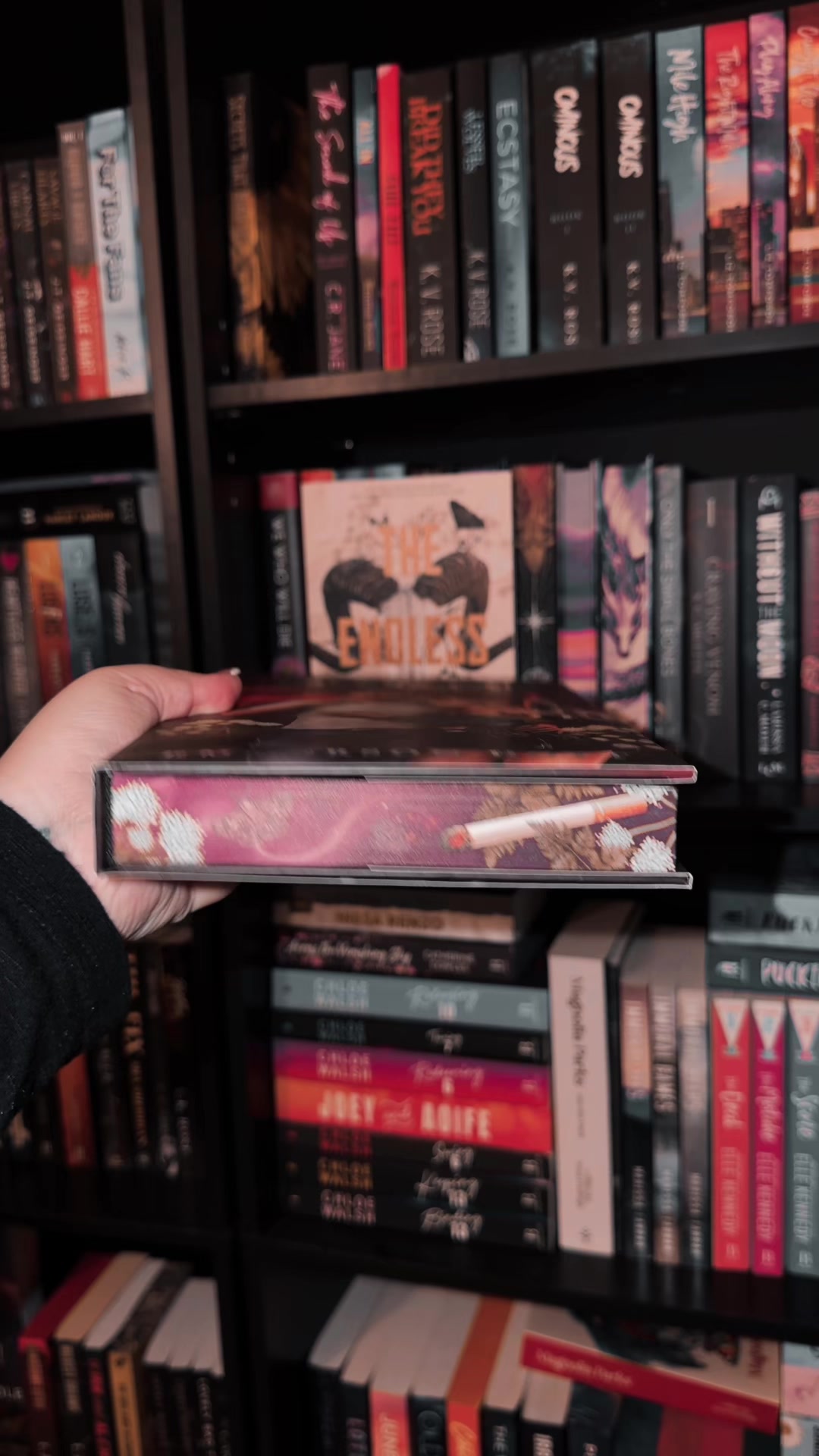 @Danielle Reads 📚☕️ 🧸