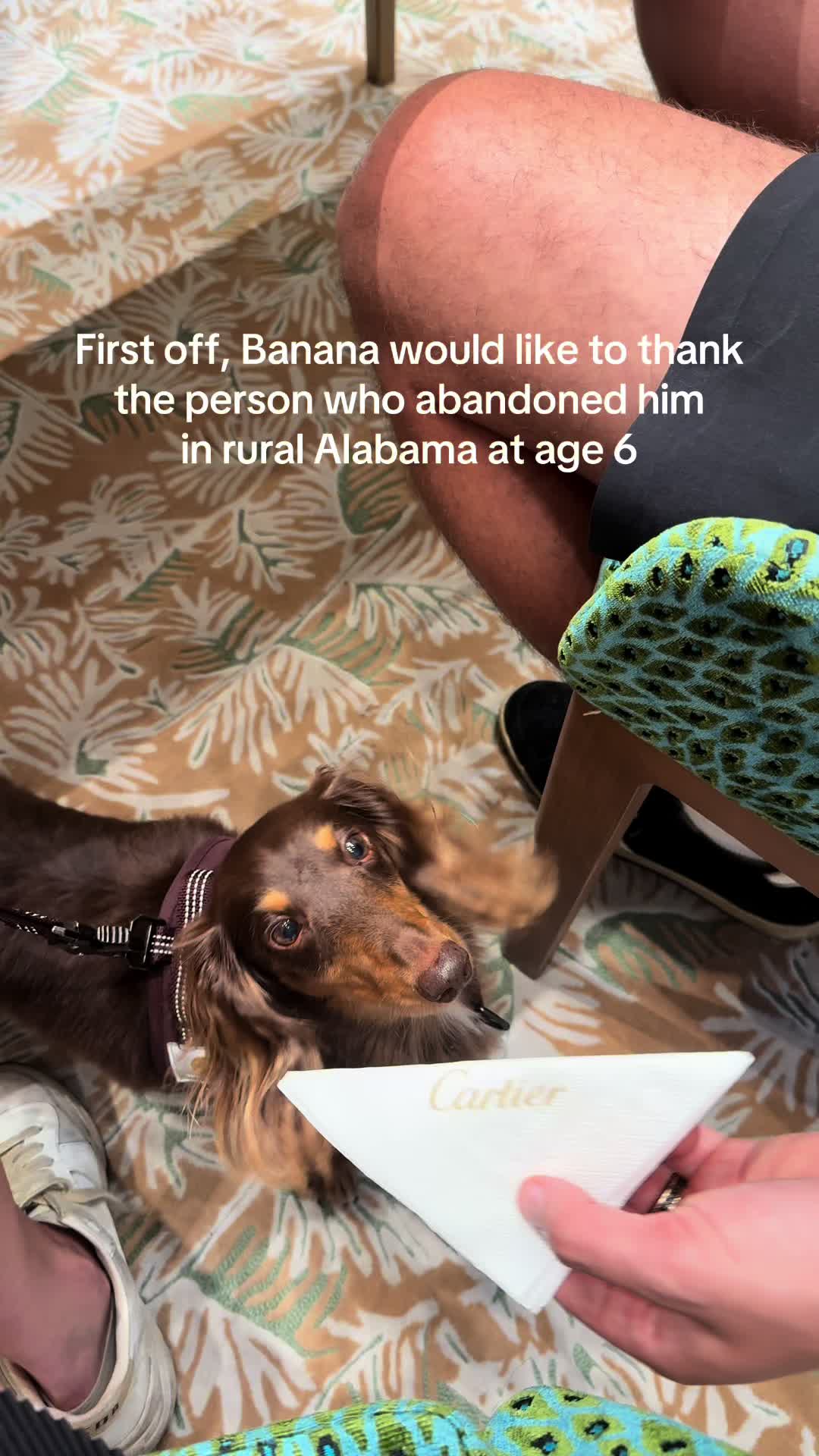 @bananaislong