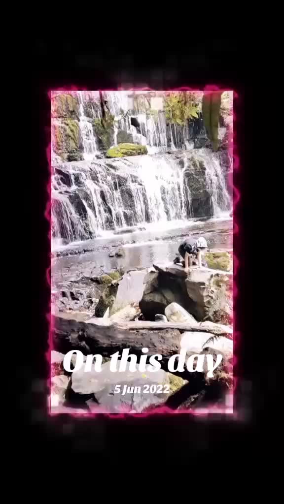 @shellyteddybear1