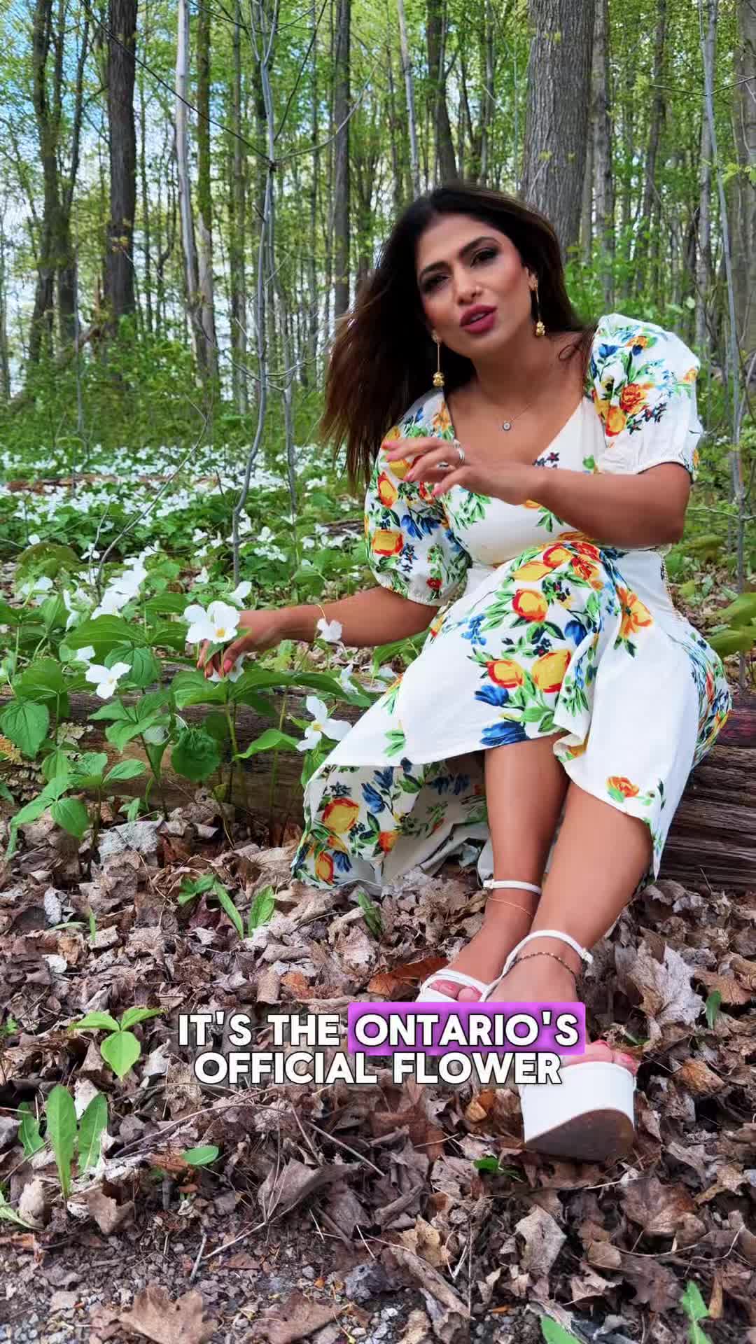 @Anu Aryan🇨🇦