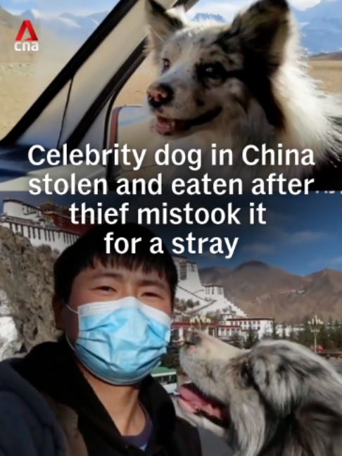 @CNA