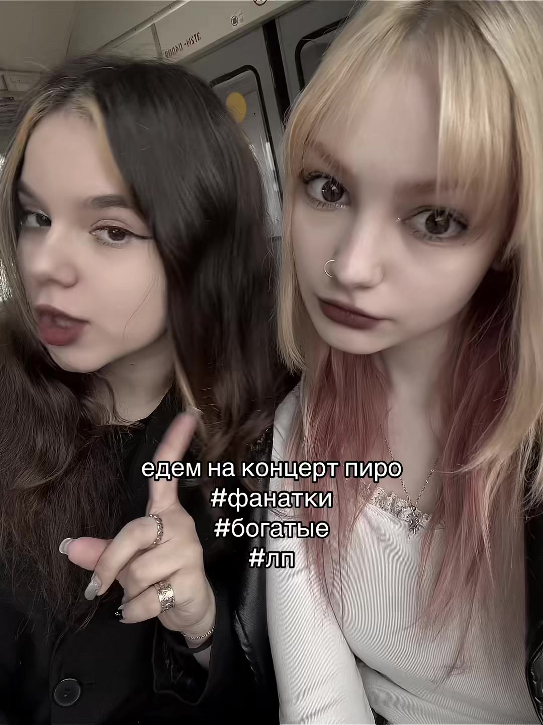 @lilacalice