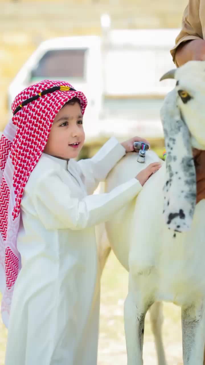 @Mir Mustafa sultan official