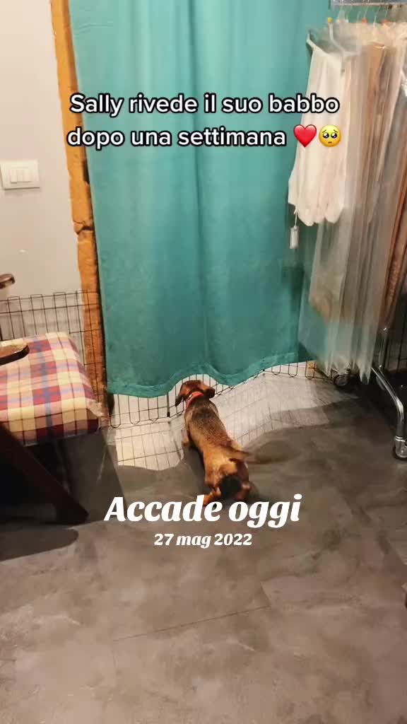 @Mapyladycabala