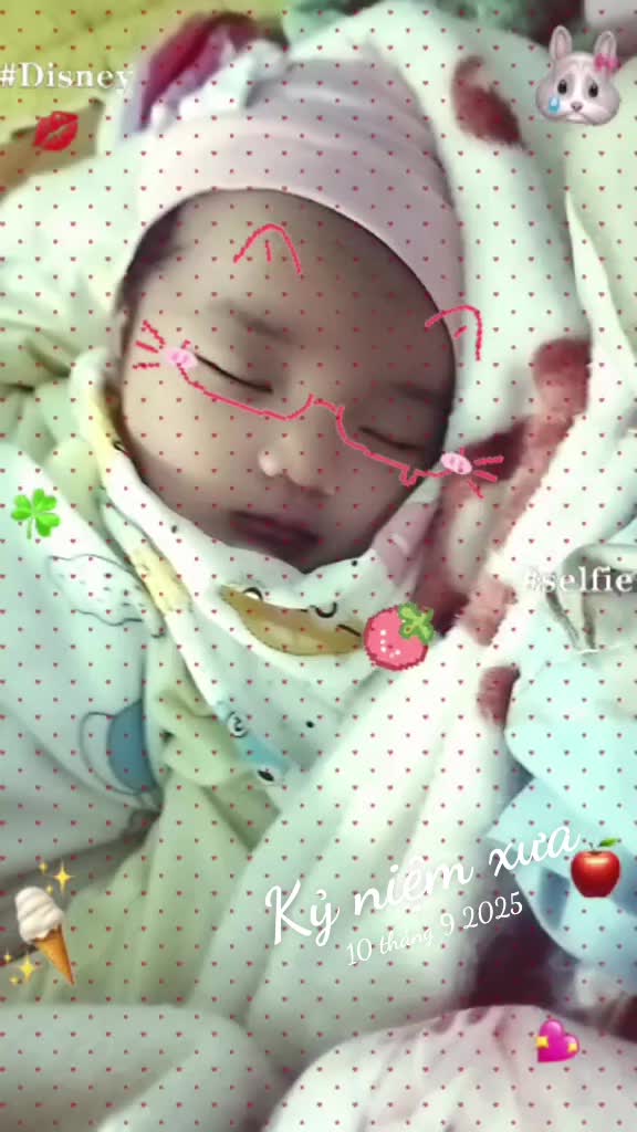@❤️hoa núi rừng ❤️