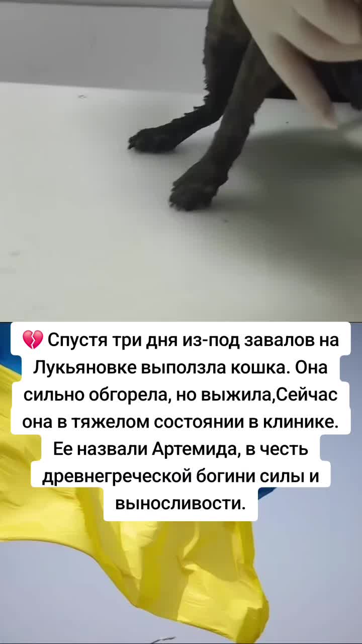 @Художник👺