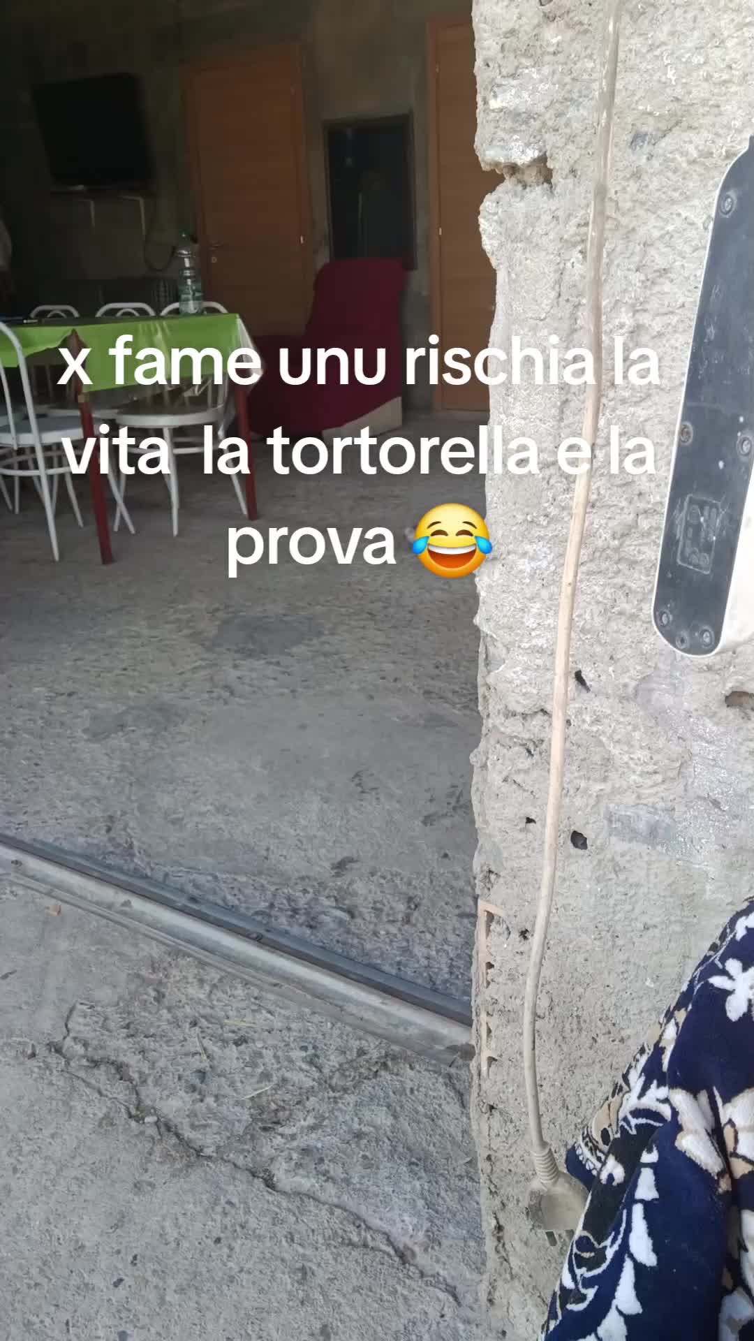 @Nicola Pasqualino( sanzuni)