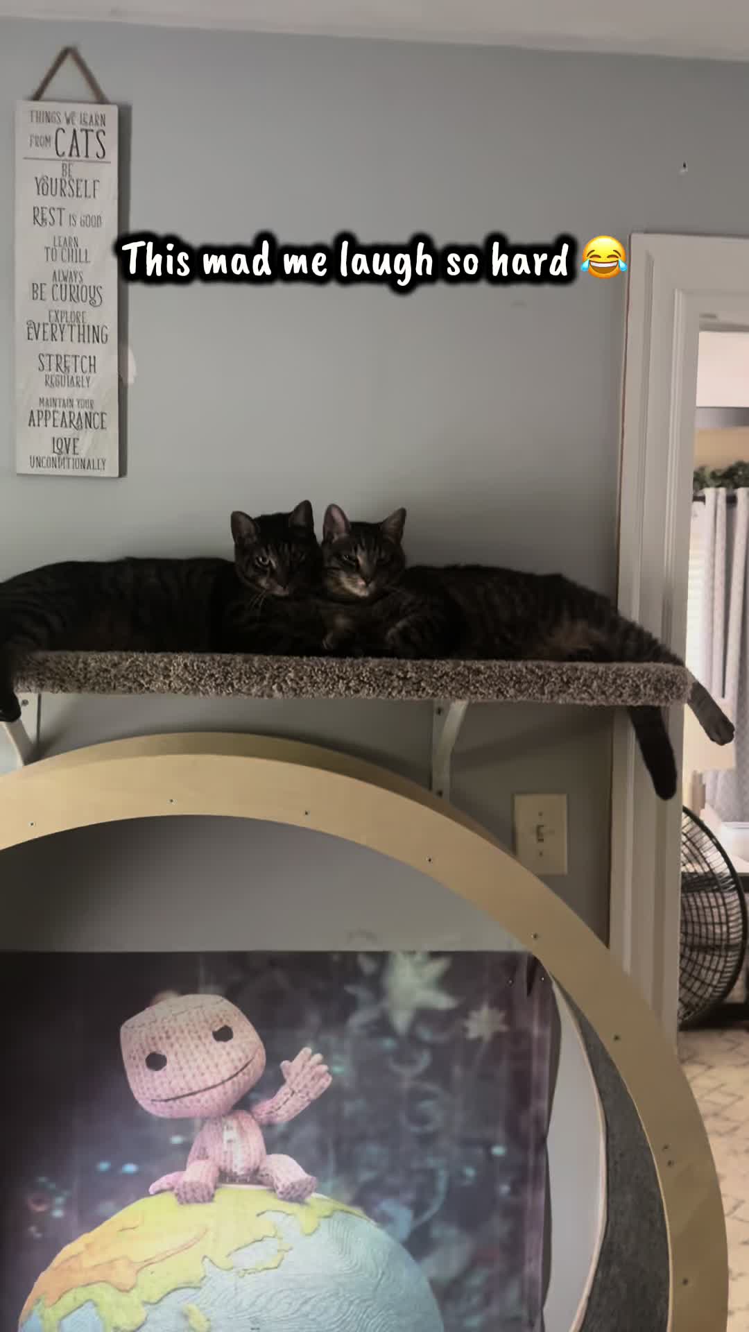 @TailsandWhiskersCo