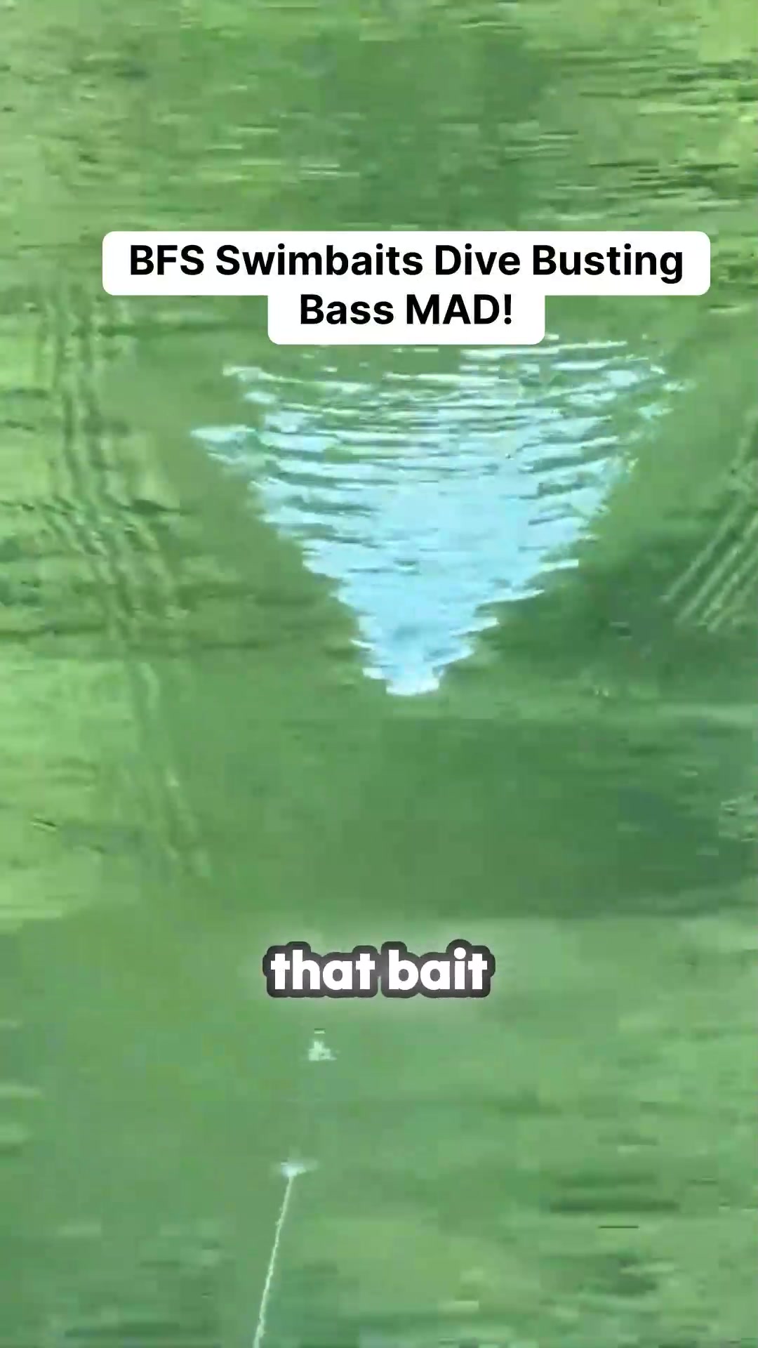 @bassgeek