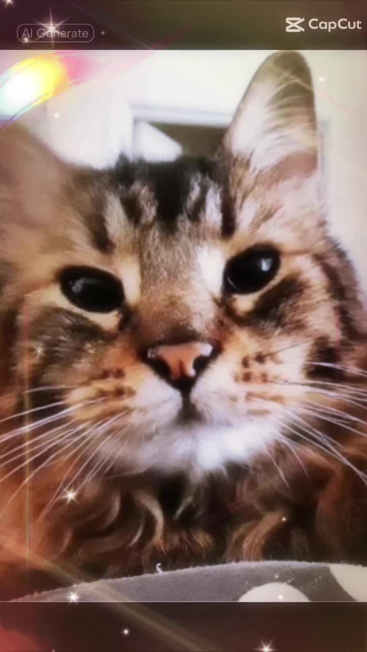 @SaltyFox