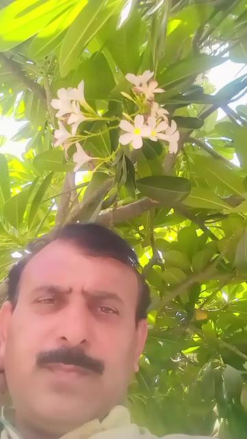 @Rafique Pakistan 1