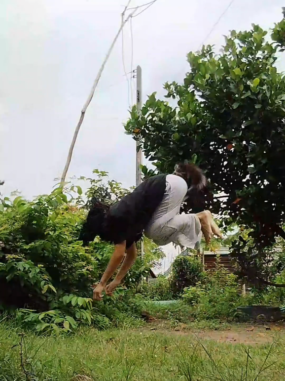 @✩₊˚⋆☾╶⃝⃤☽𝓽𝓱𝓮𝓻𝓲𝓪𝓷🌀🍀🌿丰